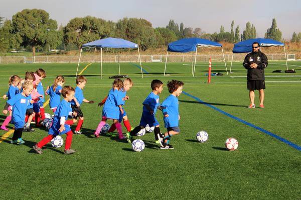 When to start and which sport to choose for children