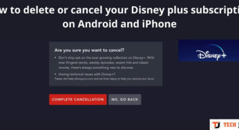 how to delete or cancel your Disney plus subscription on Android and iPhone