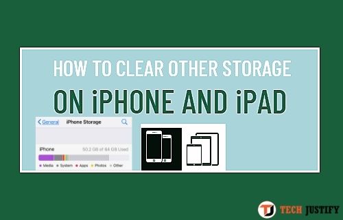 How to delete Other memory from iPhone and iPad