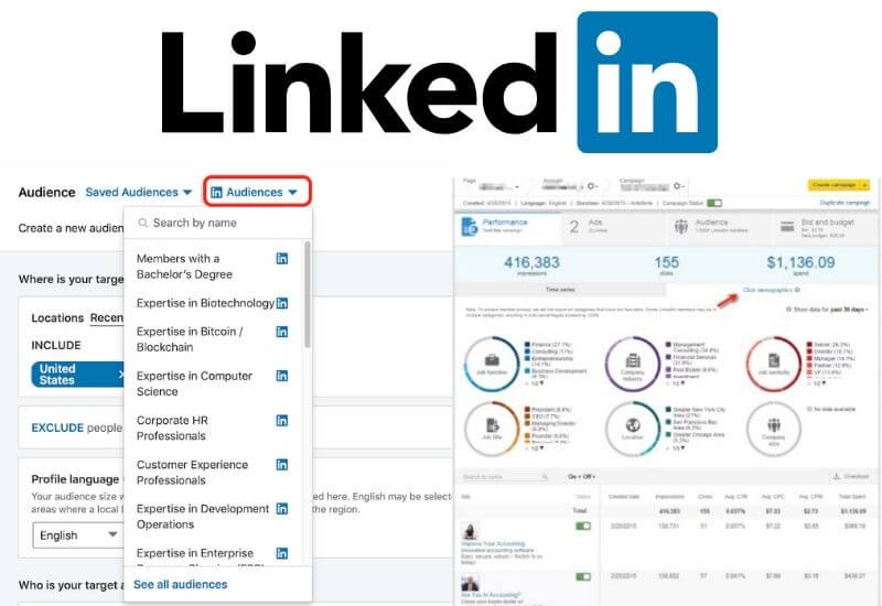 How do you reach your target audience on LinkedIn?