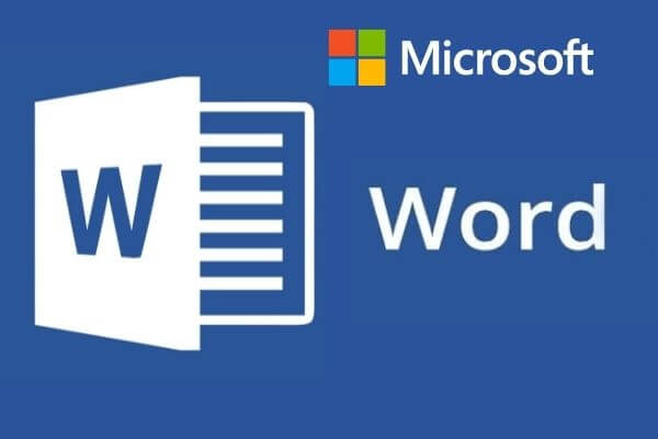 Data Processing Apps  Microsoft Word