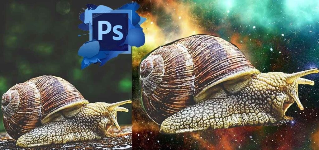 How to remove the background in Photoshop 
