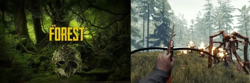 The Forest