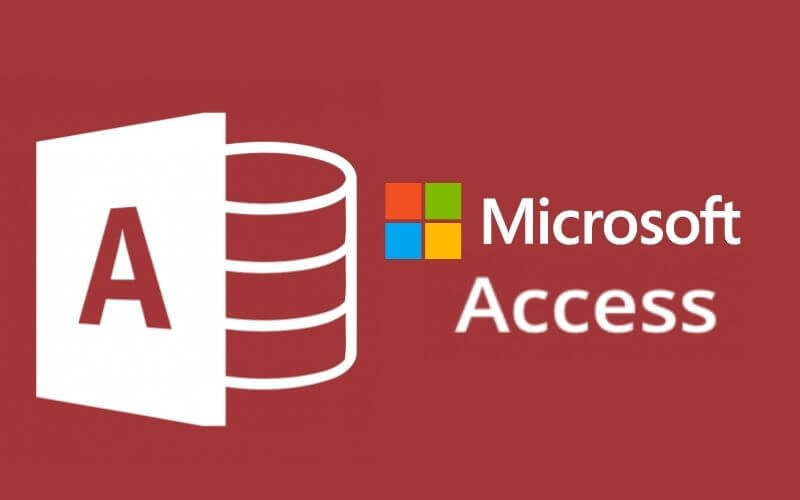 Data Processing Apps  Microsoft Access