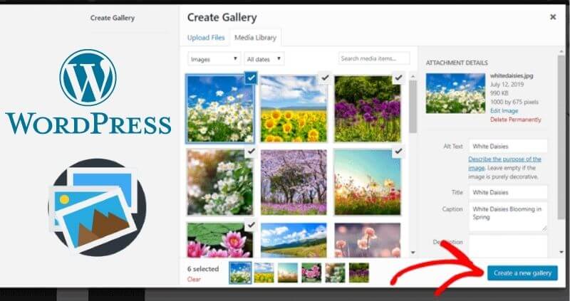 How You Can Create A Photo Gallery In WordPress