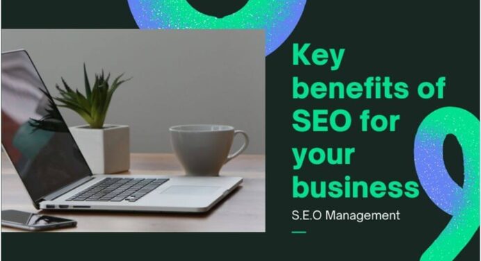 Why Your Online Business Absolutely Need SEO Tools?