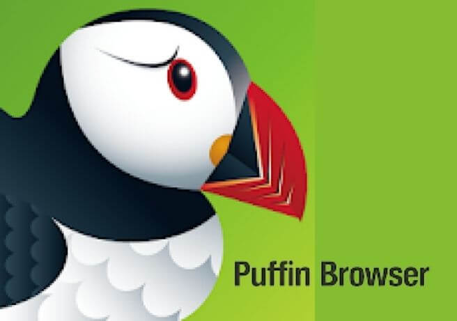 How to Download Puffin Browser For 2022