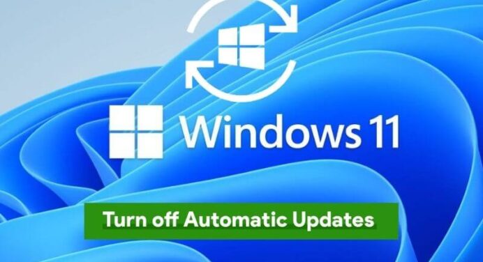 5 Ways to Turn Off Windows 11 Update Permanently