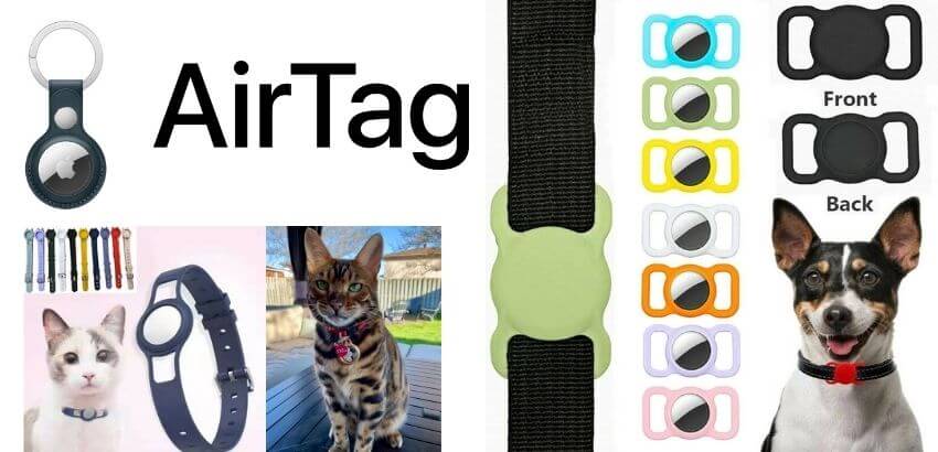 Best GPS Trackers for Dogs and Cats Apple Airtag