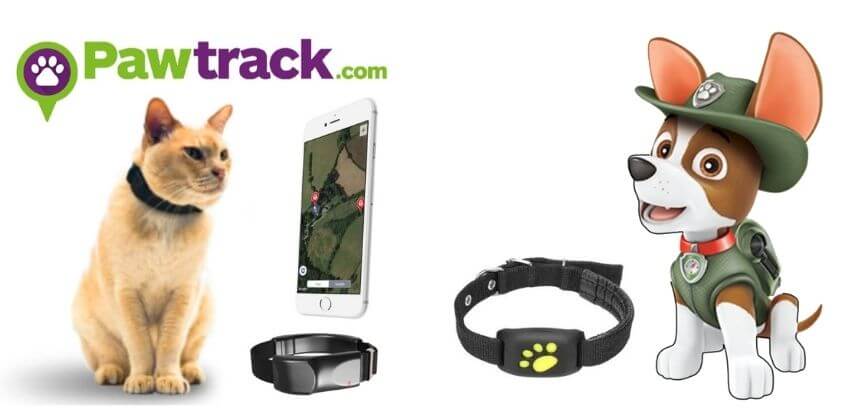 Best GPS Trackers for Dogs and Cats Pawtrack