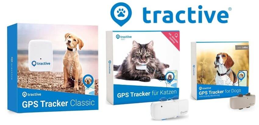 Best GPS Trackers for Dogs and Cats Tractive