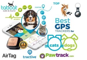 The Best GPS Trackers for Dogs and Cats in 2022