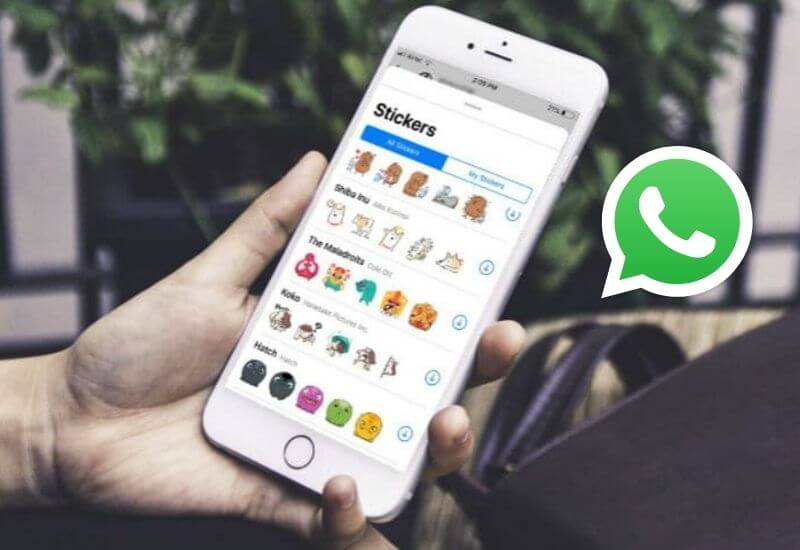how toAdd Stickers to Whatsapp Status iPhone