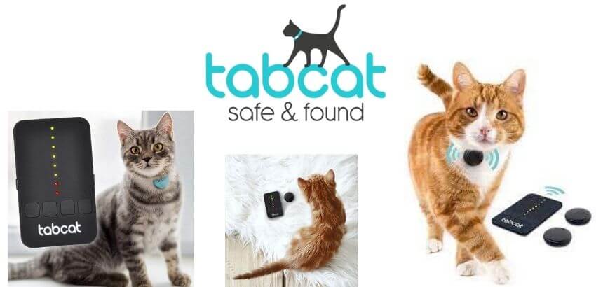 Best GPS Trackers for Dogs and Cats Tabcat