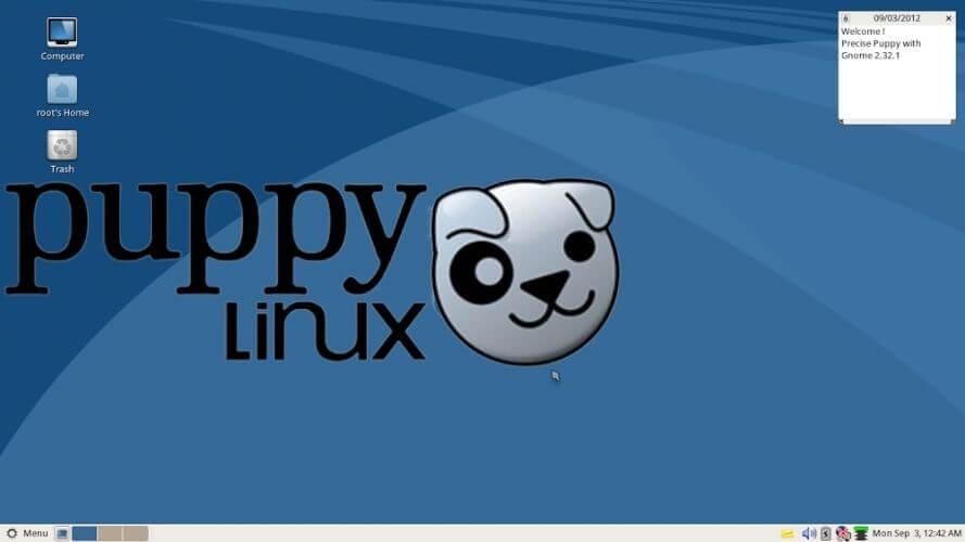  Best and Most Popular Linux Distros: Puppy Linux
