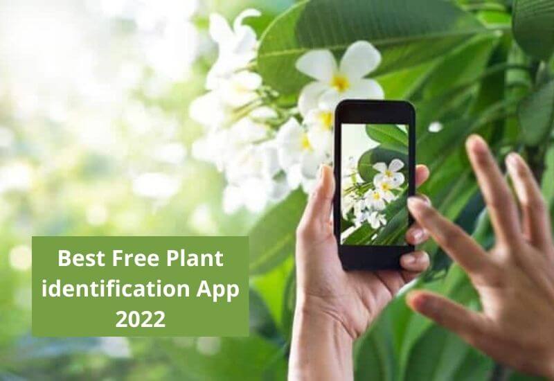 Best Free Plant identification App 2022
