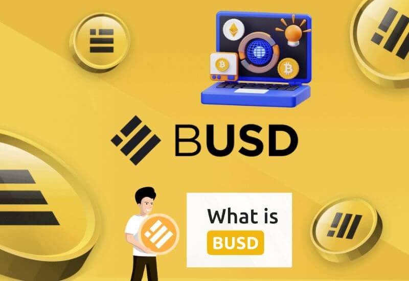 What is BUSD? How to Buy? All About Binance USD!