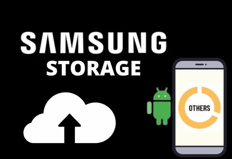 What is ‘Others’ in Samsung Storage?