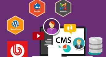 Best CMS For SEO 2023: Which Should You Choose?