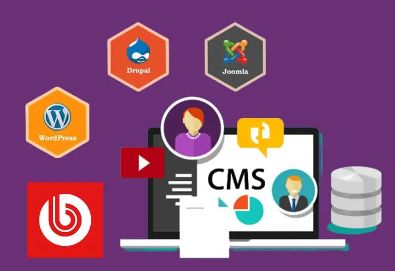 Best CMS for SEO 2022: Which Should You Choose?