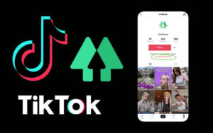 how to add link to tiktok bio