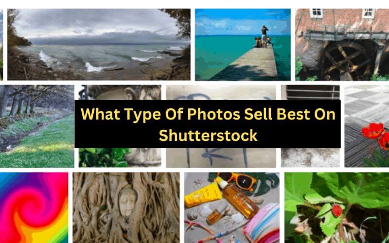 What Type Of Photos Sell Best On Shutterstock