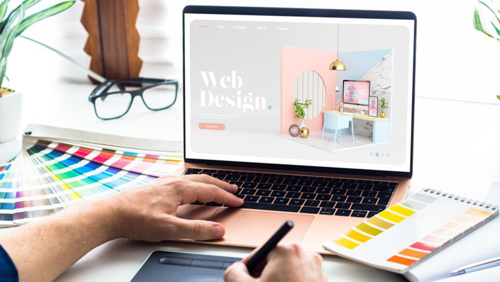 Professional Vs Fresher’s Web Design Services