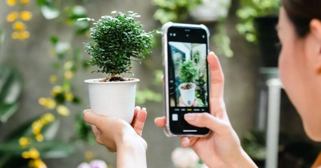 Best Plant Recognition Apps