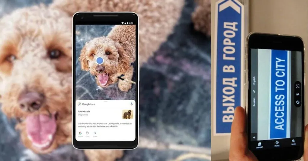 How to translate Text from images